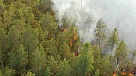 В Туве количество лесных пожаров сократилось вдвое